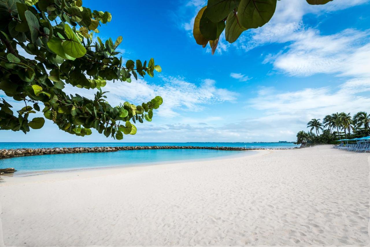 Margaritaville Beach Resort Grand Cayman George Town Bagian luar foto